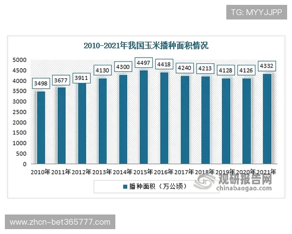 333体育平台安全可靠吗？用户隐私保护与数据安全全面分析